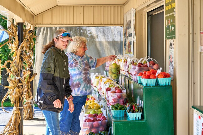 A resident shops for fresh apples at the Rinehart Market in Ringgold.