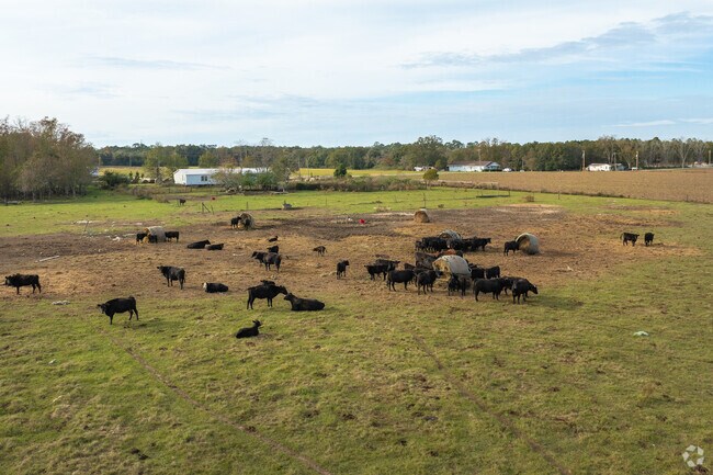 Where the countryside meets Southern charm in Robertsdale, Alabama.