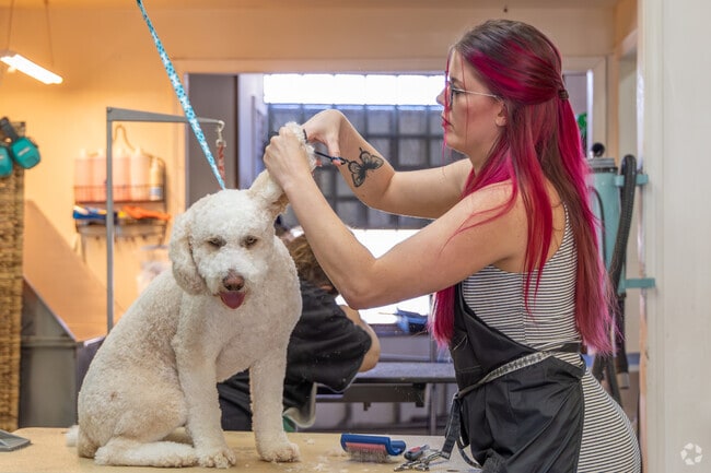 Pet grooming services are available throughout Richland Township.