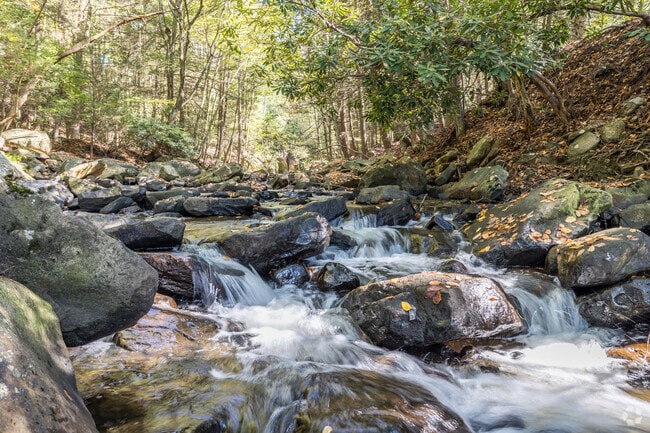 The creek in Upper Turkeyfoot is a peaceful spot for outdoor recreation.