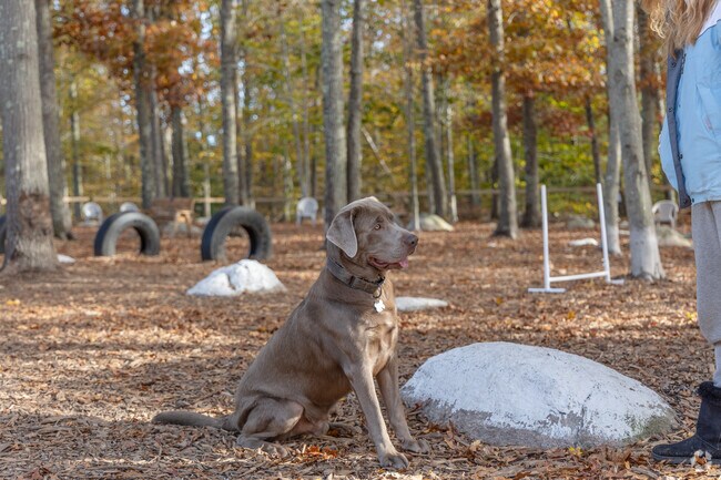 The Raymond F. Jones Memorial Dog Park in the Bliss Corner neighborhood is a nice place to play.