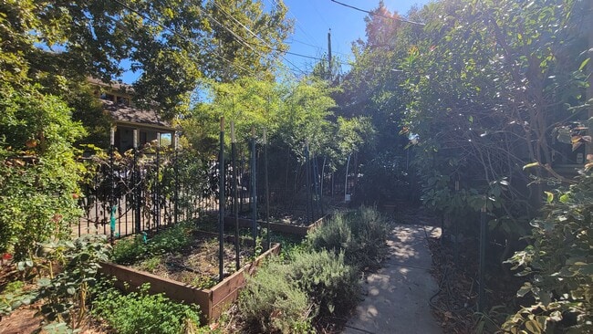 3116 San Carlos Way, Sacramento, CA 95817 - photo 4