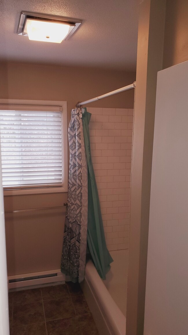 519 N Patsy St unit 1, Mediapolis, IA 52637 - photo 7