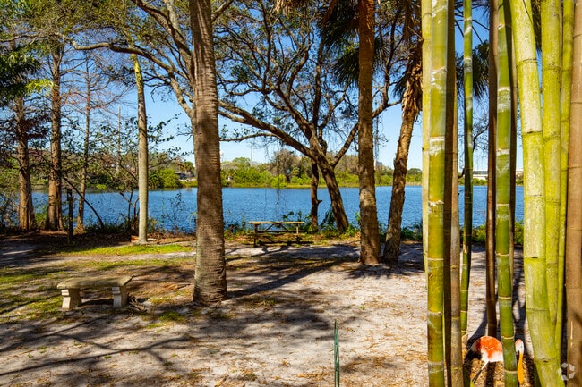 Locals can enjoy a nice picnic along one of the lakes in the University Hillsborough.