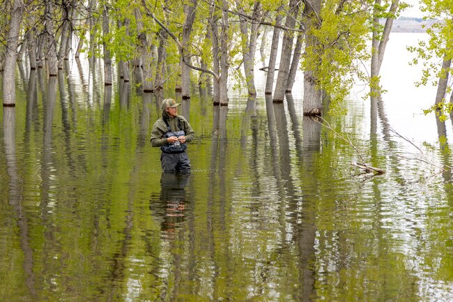 Chatfield State Park in Littleton is a popular spot for fishing in the summer.