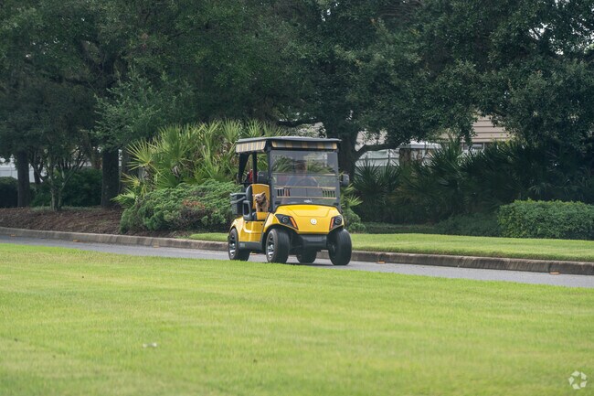 Village of Virginia Trace locals get around the Villages via golf cart paths.