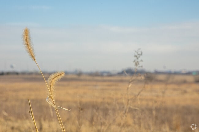 Nature lovers will enjoy miles of hiking trails in and around Grasslands.