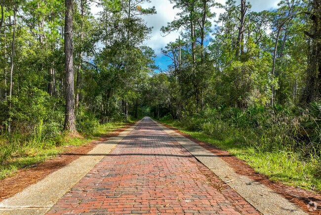 Greater Daytona nature lovers can choose unpaved and paved trails in Tiger Bay State Forest.