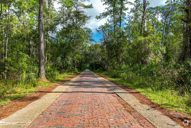 Greater Daytona nature lovers can choose unpaved and paved trails in Tiger Bay State Forest.