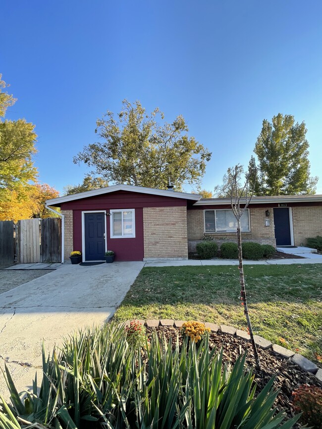 Front Yard Image 1