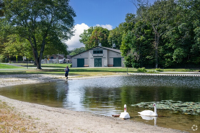 Hains Park visitors will often see local wildlife in and around the park.