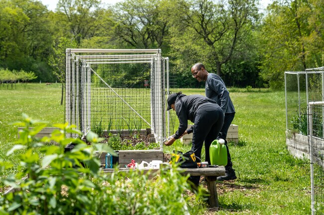 Farwell Park hosts a large community garden for residents of Pershing.