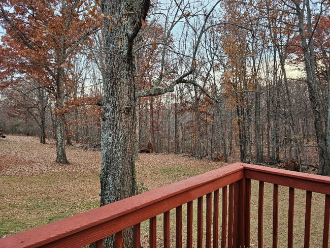 1057 Hibiscus Rd, Moneta, VA 24121 - photo 2