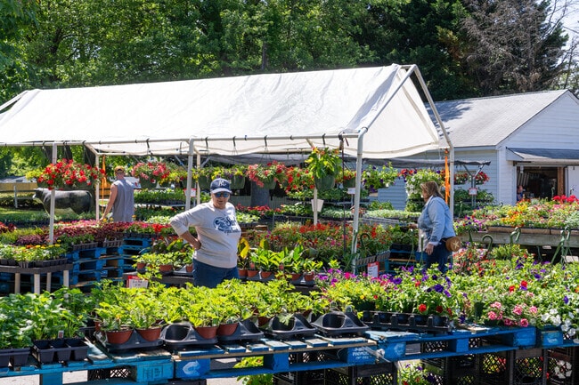 Find fresh flowers for sale right next to Games Farmers Market, conveniently located near Morrison.