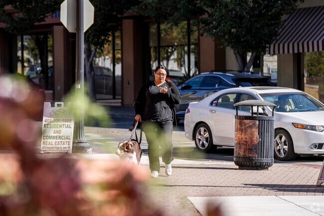 The Village Square area is a great place to stroll with your puppy.