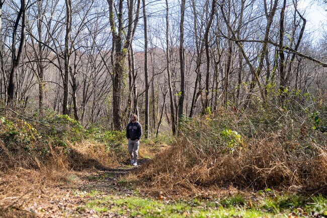 Gillis Falls Recreation Area near Woodbine provides trails for hiking and horseback riding.
