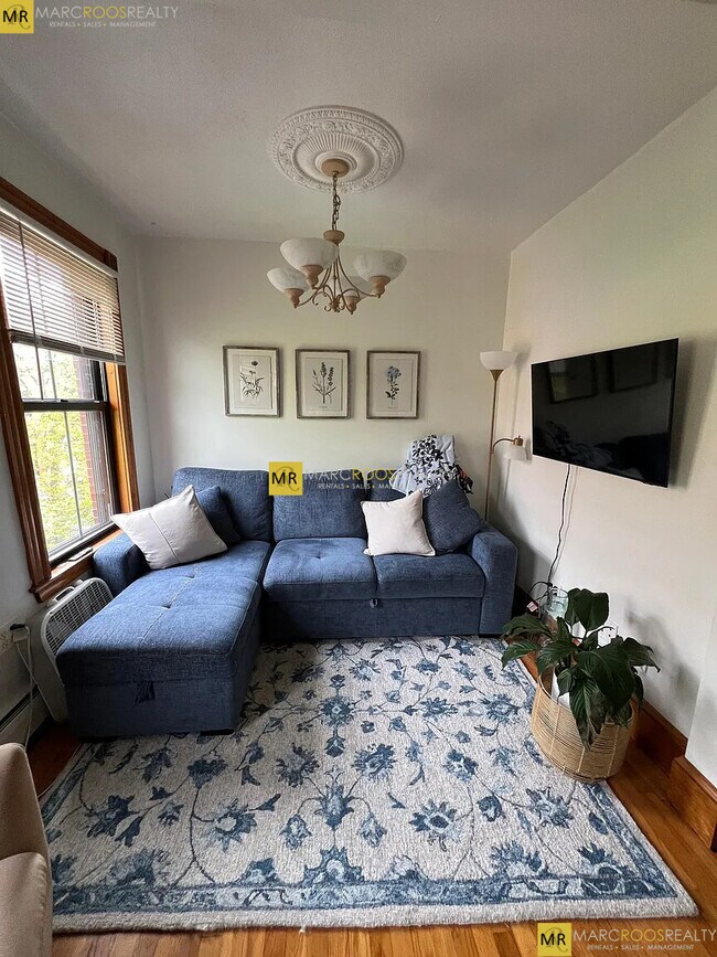 22 Hanson St unit 3, Boston, MA 02118 - photo 4