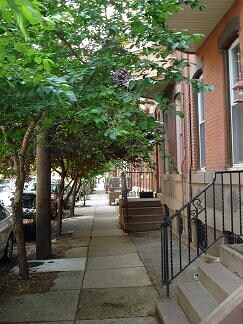 Beautiful Neighborhood!