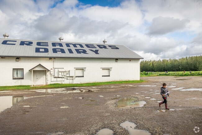 The whole family will enjoy watching the cranes at Creamer’s Field in Fairbanks.