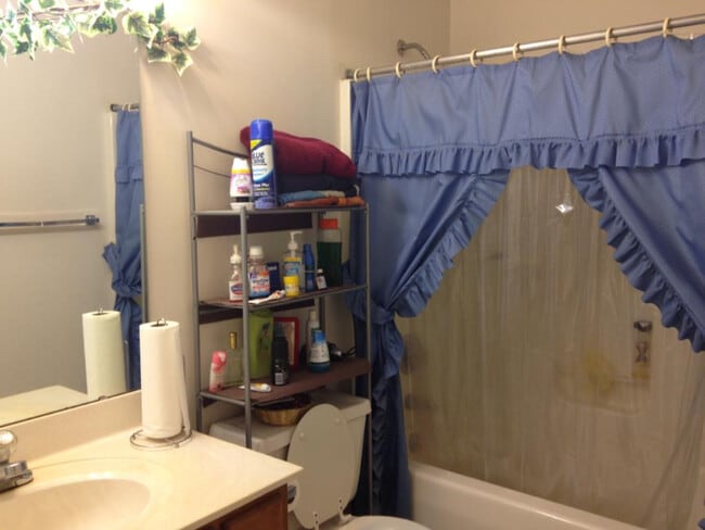 1220 Bradford Ridge Ln, Columbia, SC 29223 - photo 5