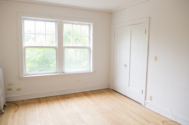 1606 W Sunnyside Ave unit 4500-1N, Chicago, IL 60640 - photo 4