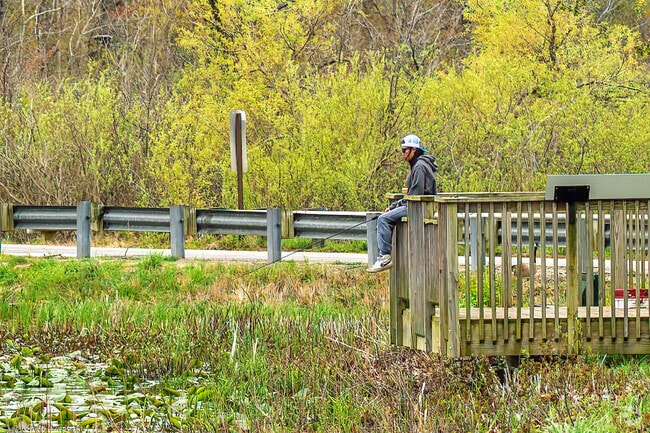 A fisherman drops a line in North Lake Park, located north of Shorewood-Tower Hills-Harbert.