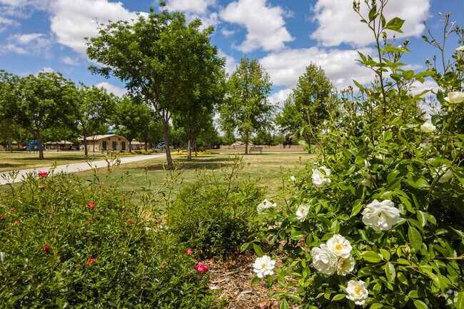 Relax on a hot day at Pasa Tiempo Park in Clovis.