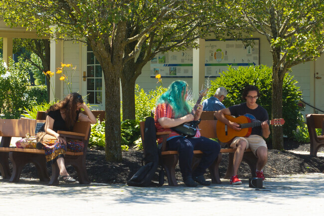 A couple friends enjoying music making together at The Crossings of Colonie a 130 acre park with trails, playgrounds, mazes a lake and more.