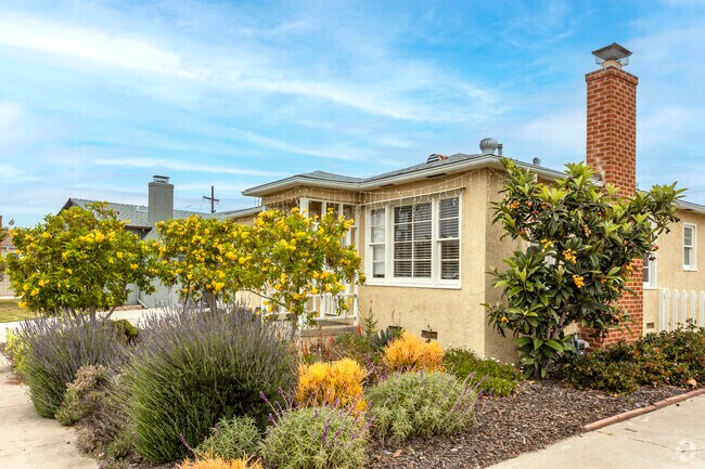 Homes on Filipo Street impress with lovely landscaping in Rolando.
