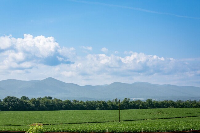 24-web-or-mls-Overbrook Neighborhood-3.jpg