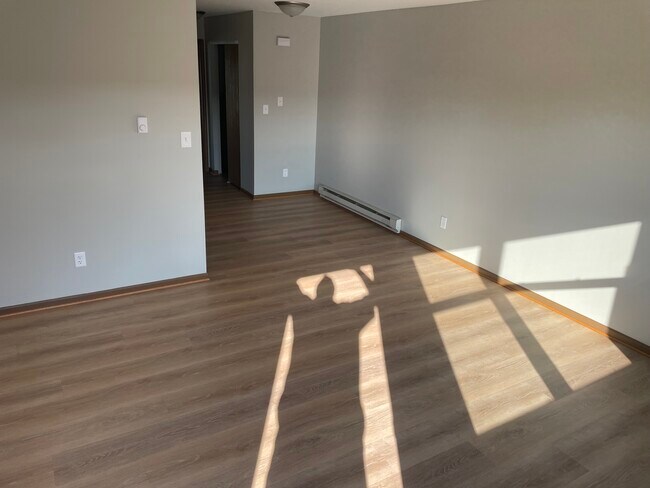 811 Covey Ln, Coal City, IL 60416 - photo 4