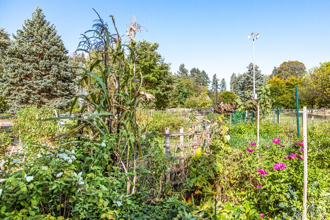 Try out your green thumb at the community garden at Community Park.