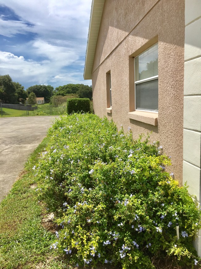 434 Village Ct Unit 434, Minneola, FL 34715