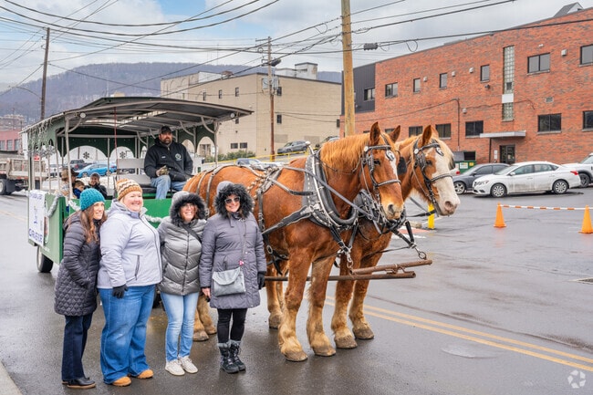 Enjoy a carriage ride with beautiful horses at Schuylkill Winterfest in Quinntown.