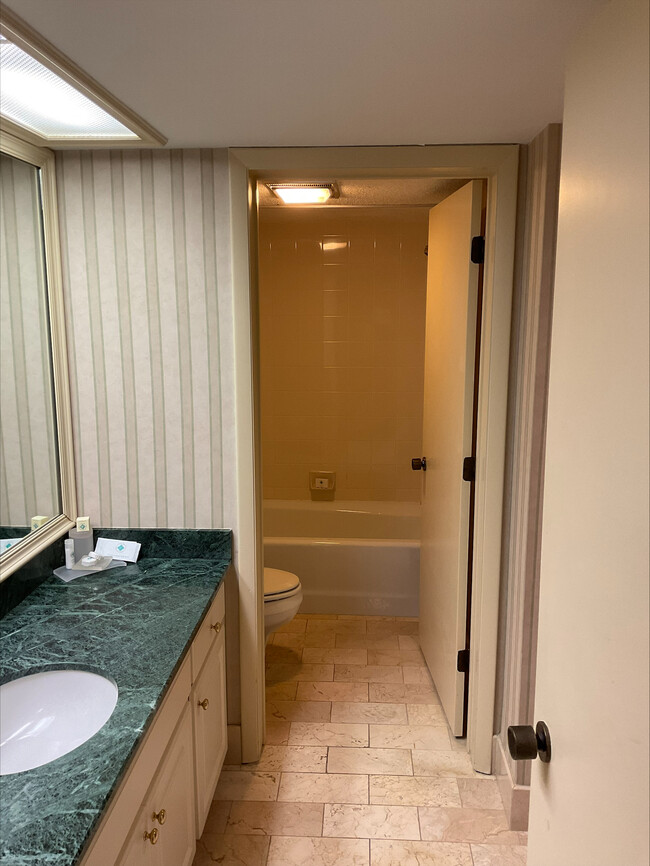 29200 Bay Hollow Dr Unit 3296, Wesley Chapel, FL 33543