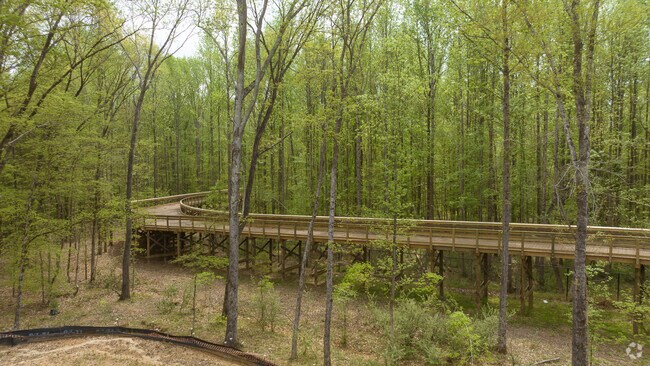Locals can enjoy the elevated trail in Mallard Creek Greenway.
