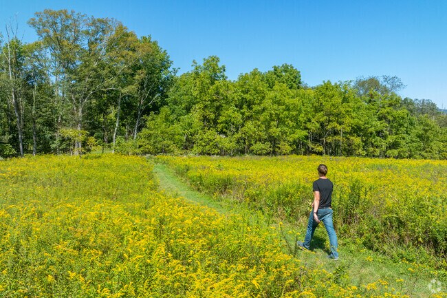 Glacial Pools Preserve features  wildflower meadows overlooking the rolling hills in Wolf.