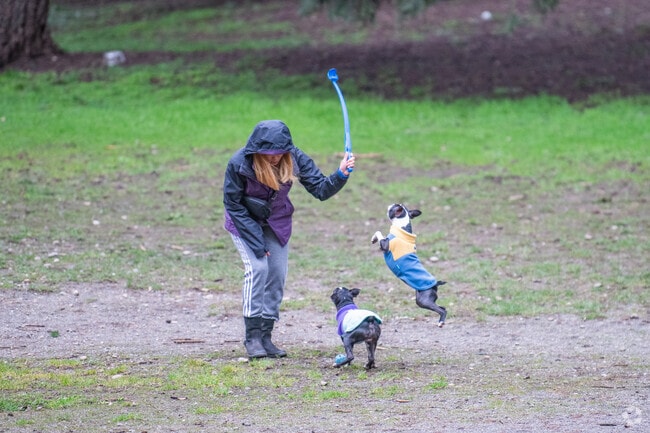 Throw the ball for your dogs at French Lake Off-Leash Dog Park in Federal Way City Center.