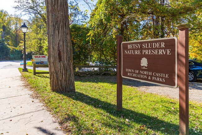 Betsy Sluder Nature Preserve in Armonk features serene trails for hiking and birdwatching.