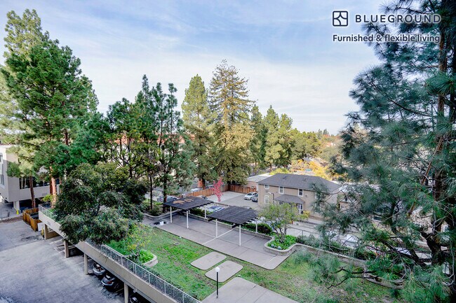 501 Forest Ave unit FL5-ID1255, Palo Alto, CA 94301 - photo 5