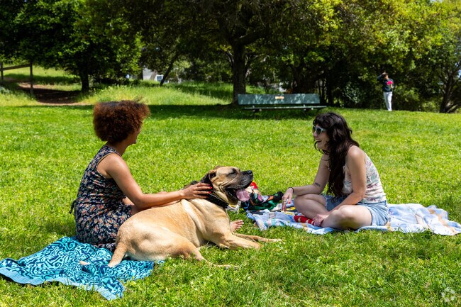 Glenview residents enjoy spending a lazy afternoon at Dimond Park.