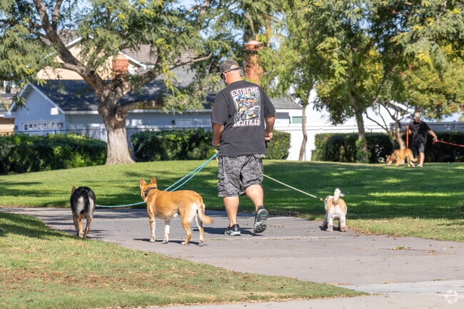 Bushard Park is the perfect park to stroll with several of your best friends.