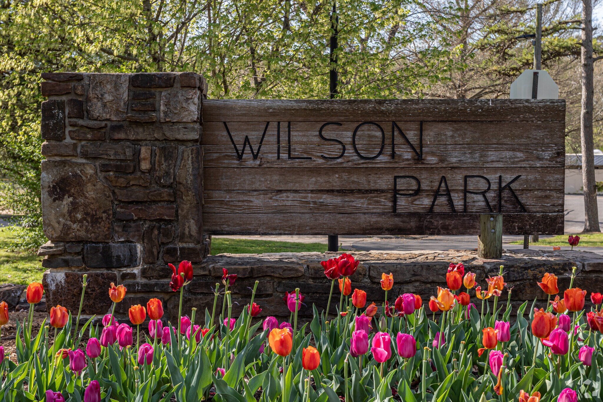 About Downtown Fayetteville | Schools, Demographics, Things to Do