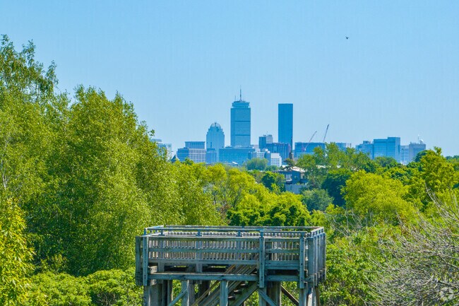 Take advantage of the skyline views from the lookout tower at Macdonald Park in East Medford.