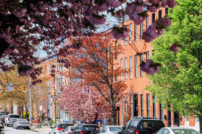 Federal style row-homes make up the bulk of housing options in Upper Fells Point.