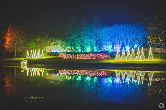 Every Christmas, Cedar Grove residents will enjoy the light show at Bellingrath Gardens.