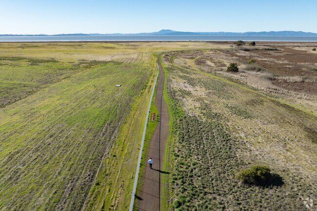 Mare Island offers access to the San Pablo Bay Trail and hiking through the wetlands.