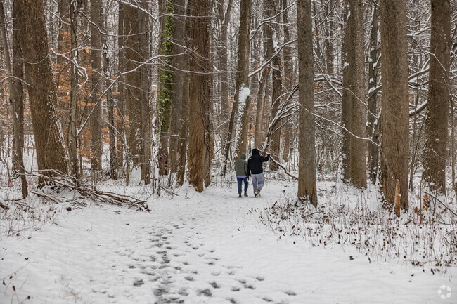 Experience the serene beauty of Franconia as people enjoy a peaceful snow-covered stroll.