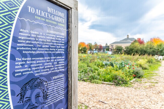 Alice's Garden is named after Alice Meade-Taylor who started a gardening program near Amani.