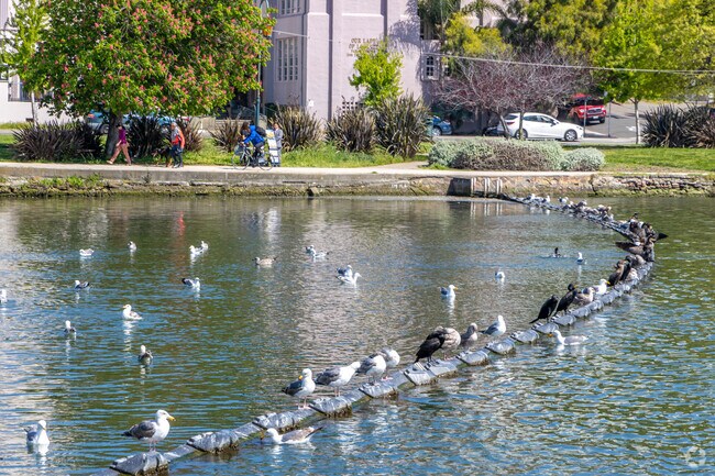 As the oldest wildlife refuge on the continent — Lakeside Park hosts many wild birds to be seen.